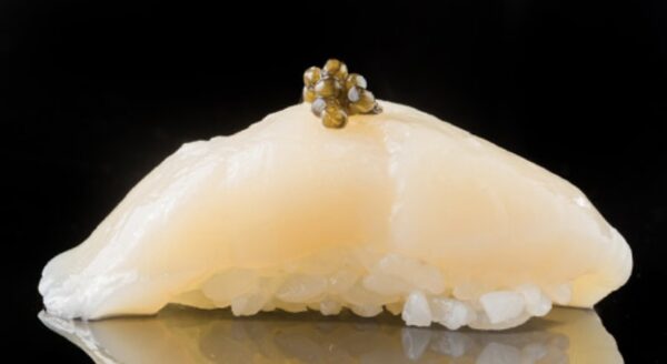 北海道 帶子刺身 SCALLOPS Japan HOKKAIDO (200g)