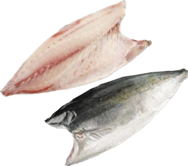 急凍油金魚 半條 HAMACHI FILLET FROZEN JAPAN