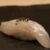 鱸魚刺身片 SLICED BASS SUZUKI 160G 20PCS
