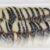 日式鯖魚片  SHIME SABASLICED SHIME SABA AJI 160G 20