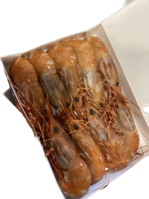 牡丹蝦 全隻 BOTAN EBI JUMBO WHOLE (500g)