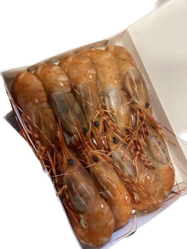 牡丹蝦 全隻 BOTAN EBI JUMBO WHOLE (500g)