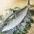 日本新鮮油甘魚半條（連皮）HAMACHI WHOLE FRESH