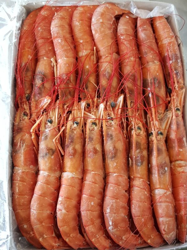 阿根廷赤蝦 2kg Red Shrimp Jumbo whole 10/20 2kg Frozen
