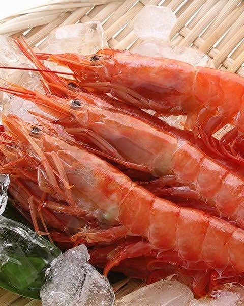 阿根廷赤蝦 2kg Red Shrimp Jumbo whole 10/20 2kg Frozen